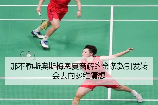 那不勒斯奥斯梅恩夏窗解约金条款引发转会去向多维猜想